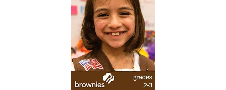 Safety Award - Brownie